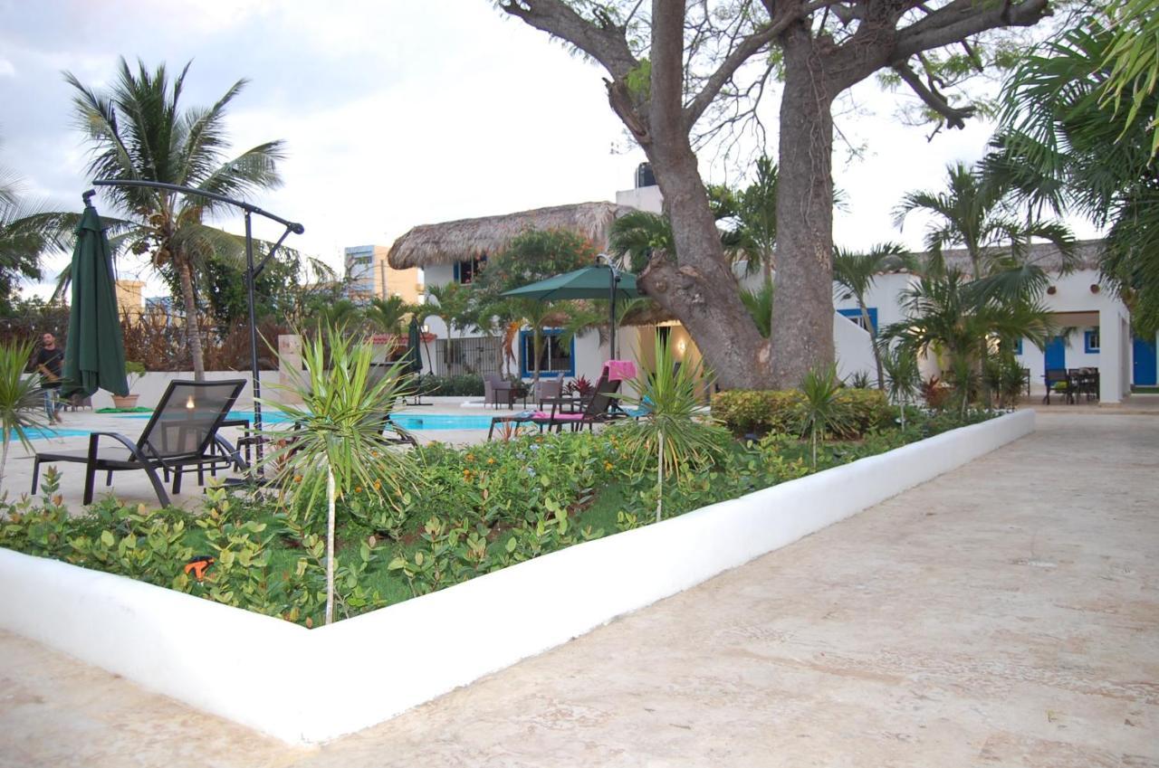 Nuovo Hotel Playa Catalina La Romana Exteriör bild