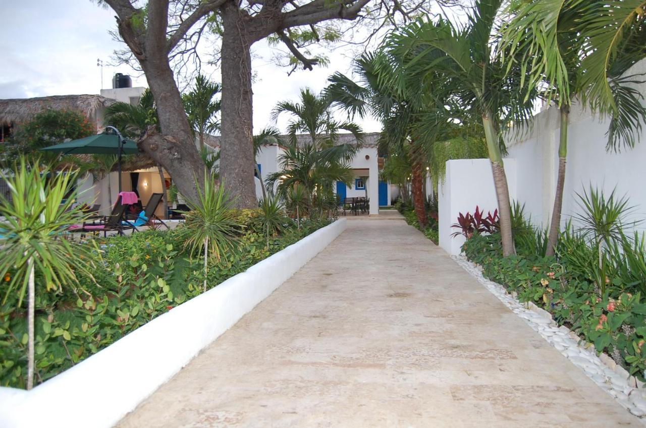 Nuovo Hotel Playa Catalina La Romana Exteriör bild